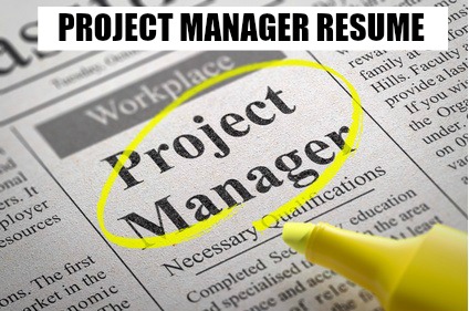 Project Manager CV